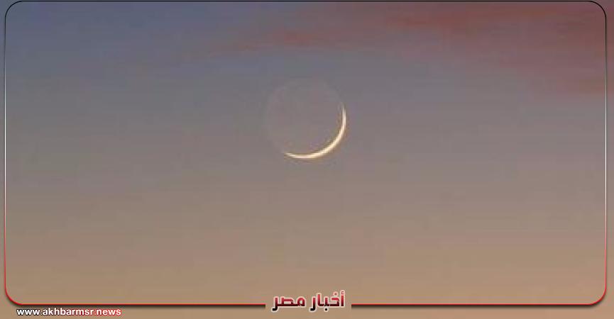 أخبار مصر 2050