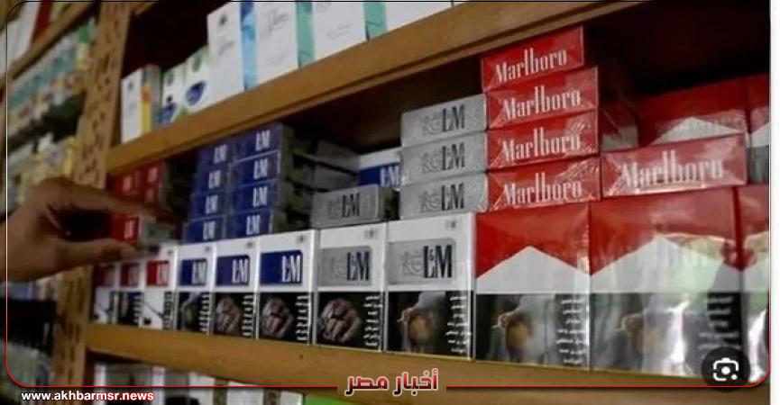 أخبار مصر 2050