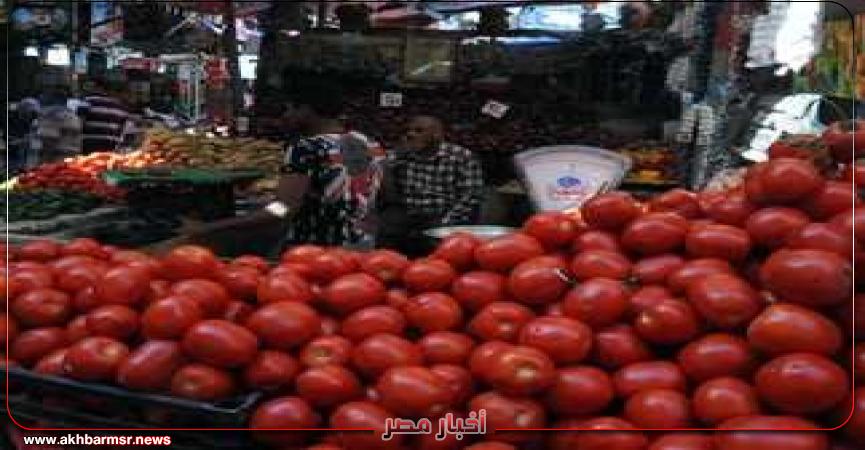 أخبار مصر 2050