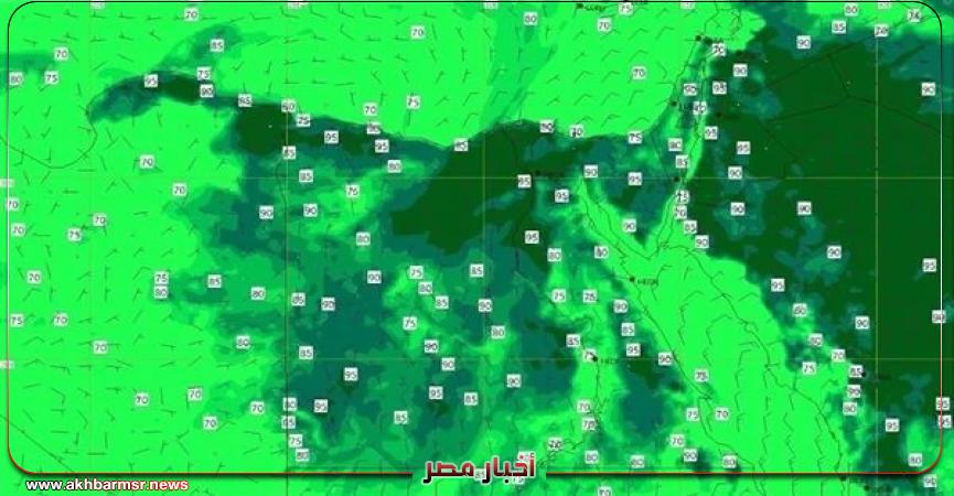 أخبار مصر 2050