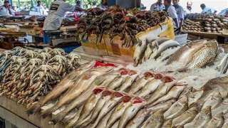 أسعار الأسماك في الأسواق اليوم الثلاثاء 7 مايو 2024