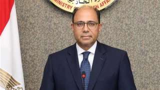 متحدث الخارجية يكشف سبب إعلان مصر التدخل لدعم جنوب أفريقيا ضد إسرائيل