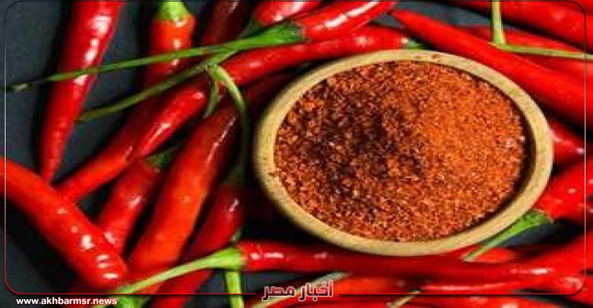 أخبار مصر 2050