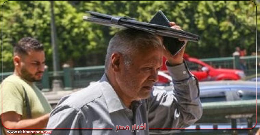 أخبار مصر 2050