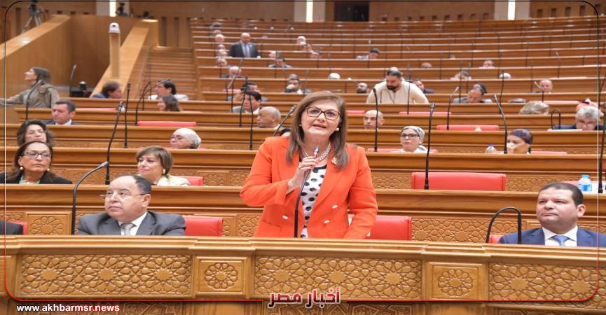 وزيرة التخطيط