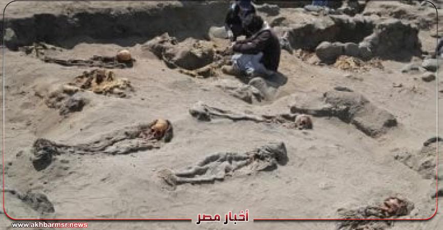 أخبار مصر 2050