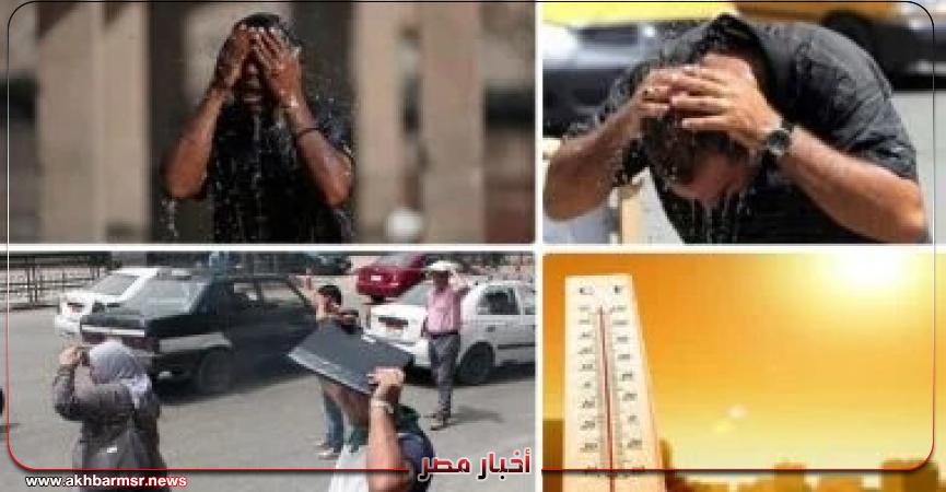 أخبار مصر 2050