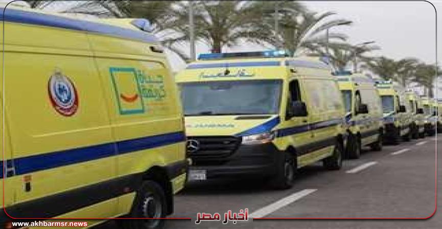 أخبار مصر 2050