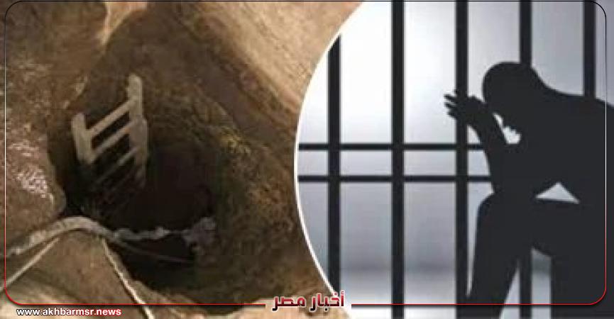 أخبار مصر 2050