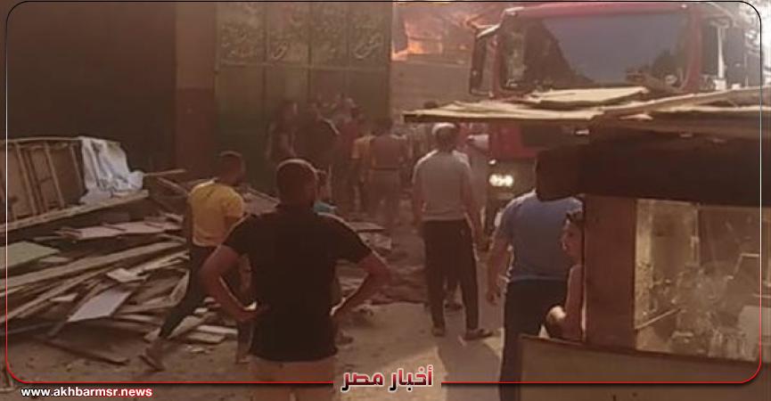 أخبار مصر 2050