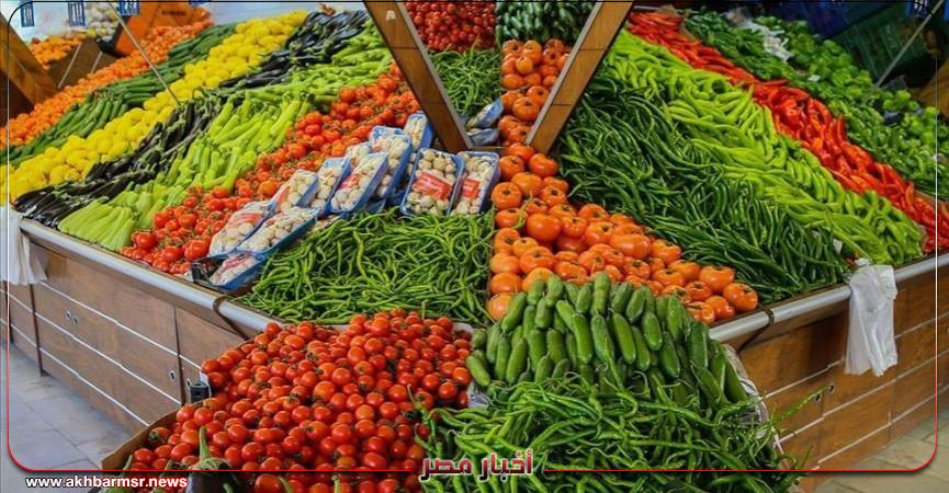 أخبار مصر 2050