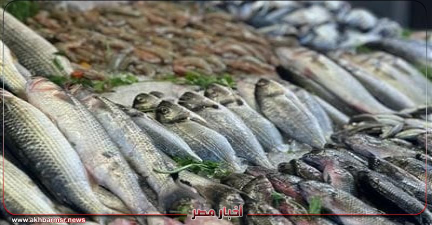أخبار مصر 2050