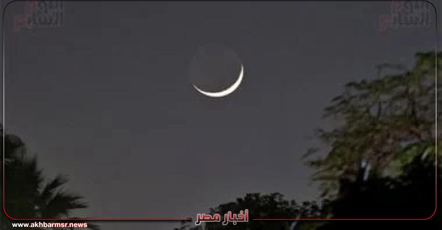 أخبار مصر 2050