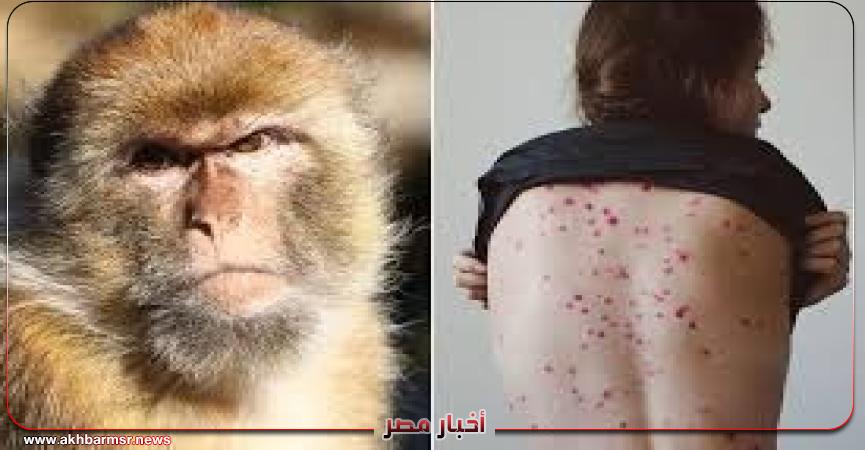 أخبار مصر 2050