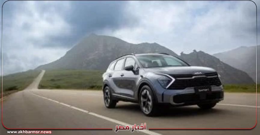 أخبار مصر 2050