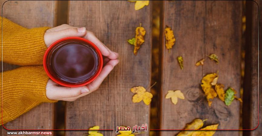 أخبار مصر 2050