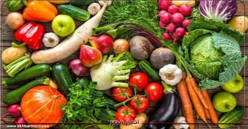 أخبار مصر 2050