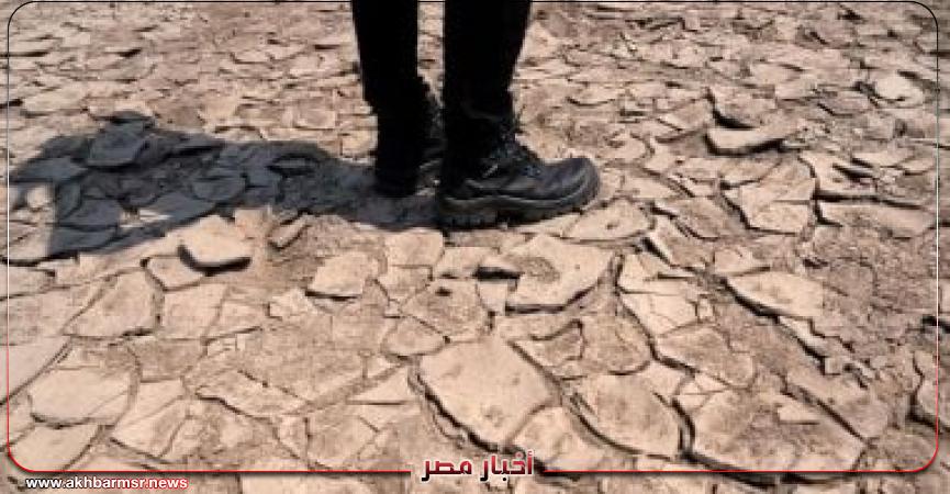 أخبار مصر 2050