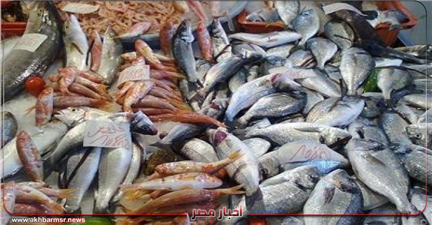 أخبار مصر 2050