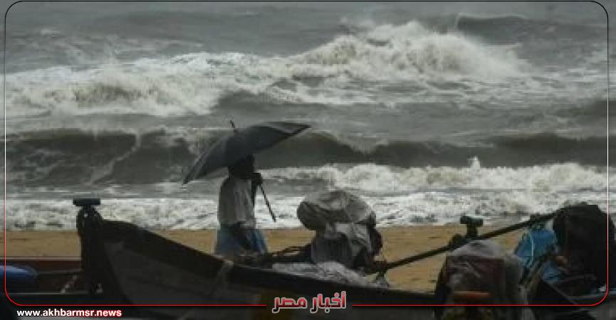 أخبار مصر 2050