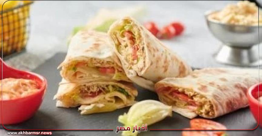 أخبار مصر 2050