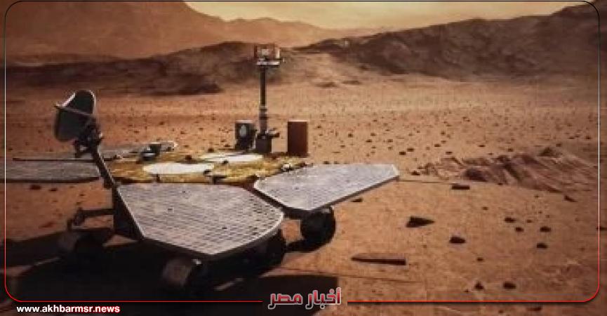 أخبار مصر 2050