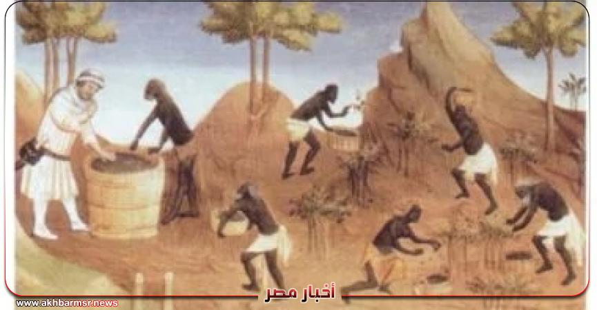 أخبار مصر 2050
