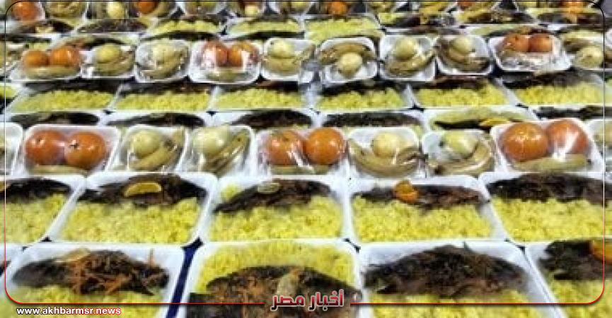 أخبار مصر 2050