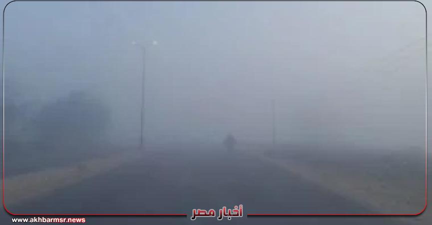 أخبار مصر 2050