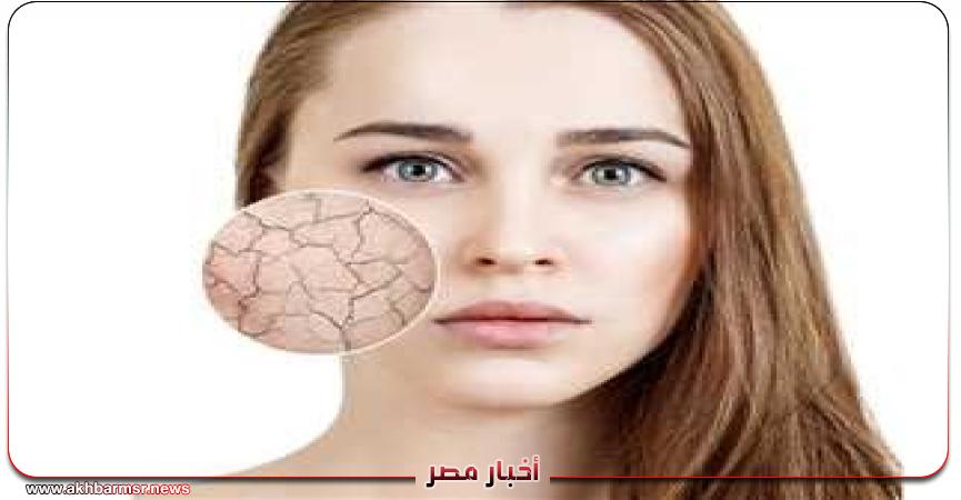 أخبار مصر 2050