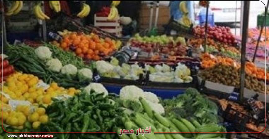 أخبار مصر 2050