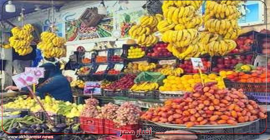 أخبار مصر 2050