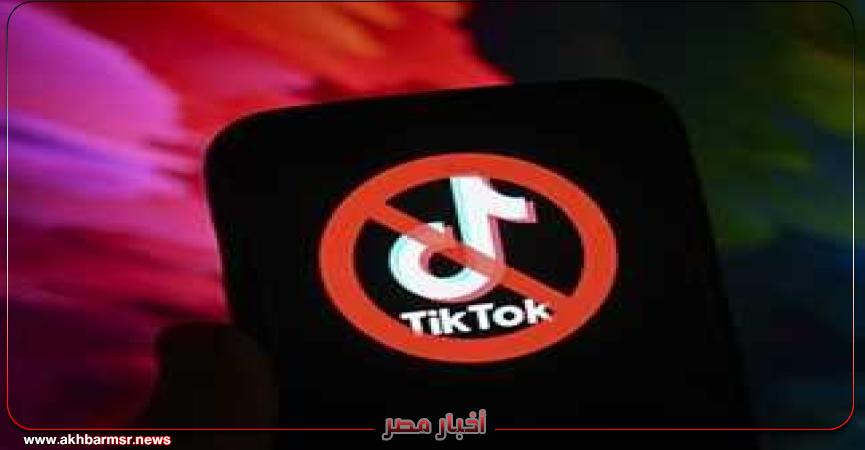 أخبار مصر 2050