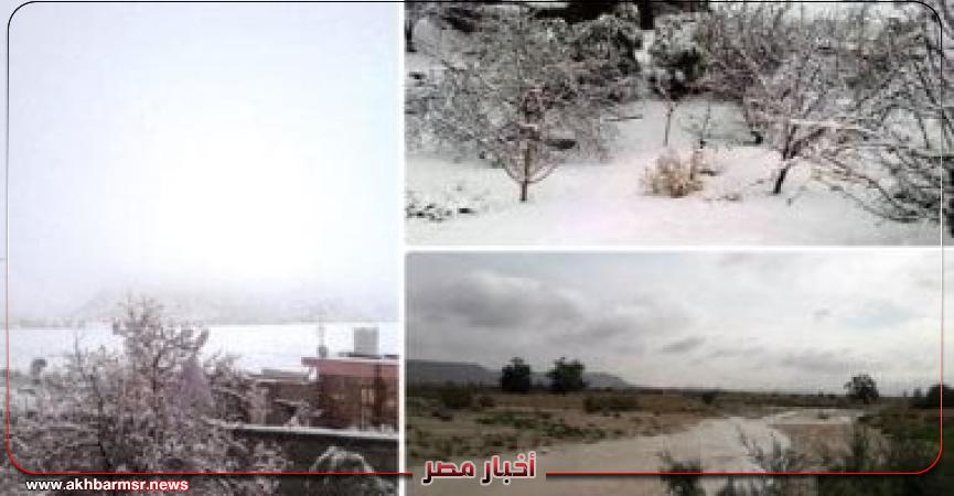 أخبار مصر 2050