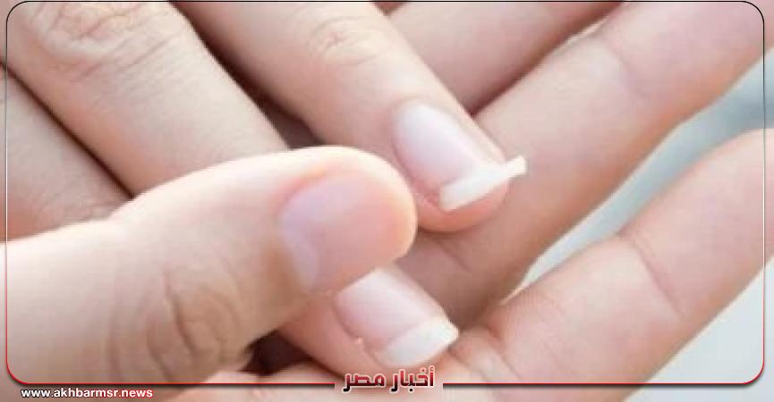 أخبار مصر 2050