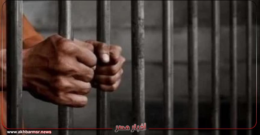 أخبار مصر 2050