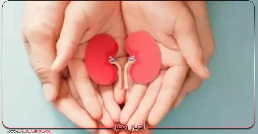 أخبار مصر 2050