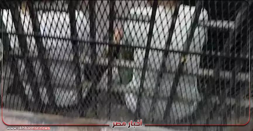 أخبار مصر 2050