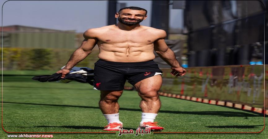 أخبار مصر 2050
