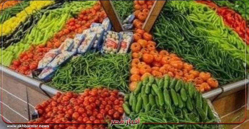 أخبار مصر 2050
