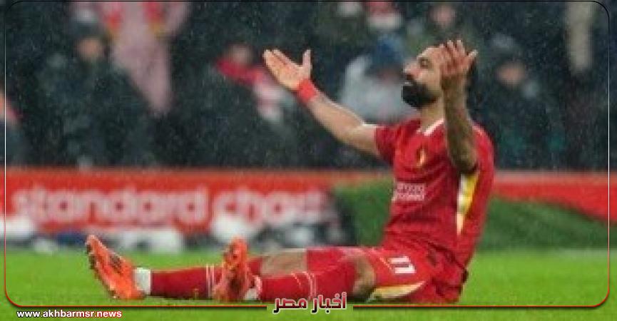 أخبار مصر 2050