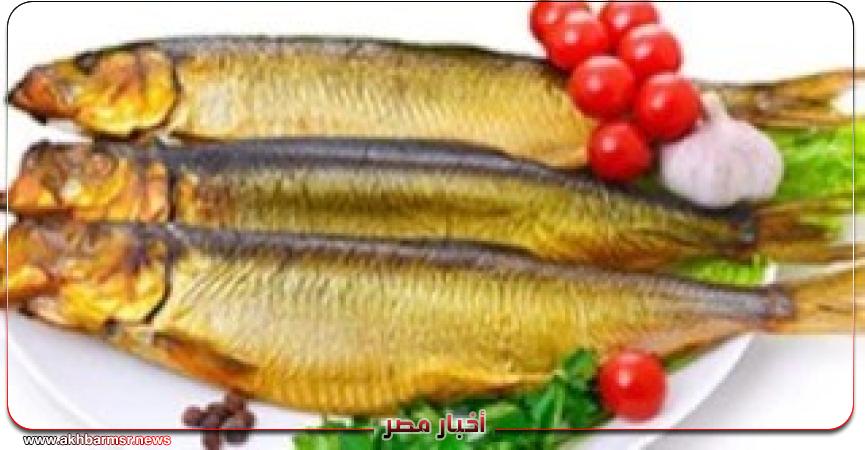أخبار مصر 2050