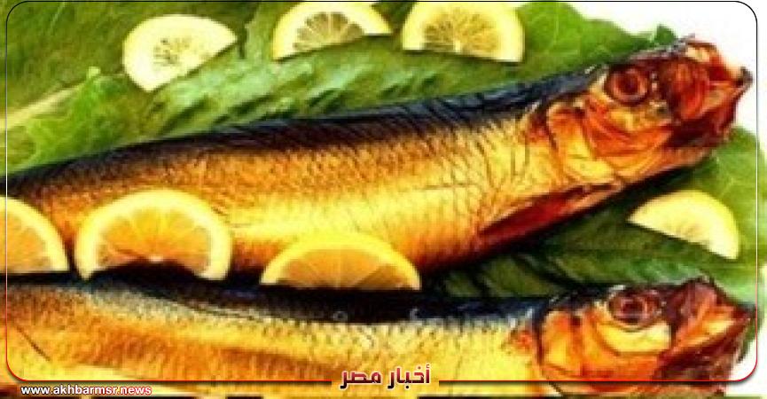 أخبار مصر 2050