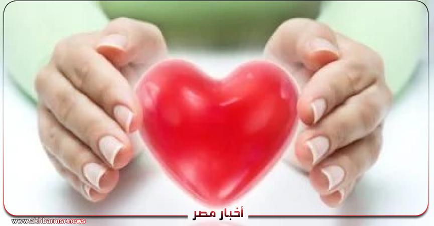 أخبار مصر 2050