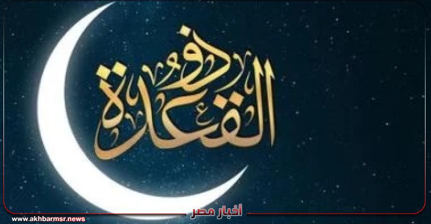 أخبار مصر 2050