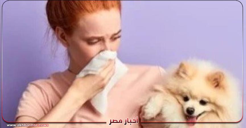 أخبار مصر 2050
