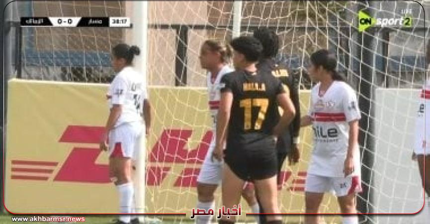 أخبار مصر 2050