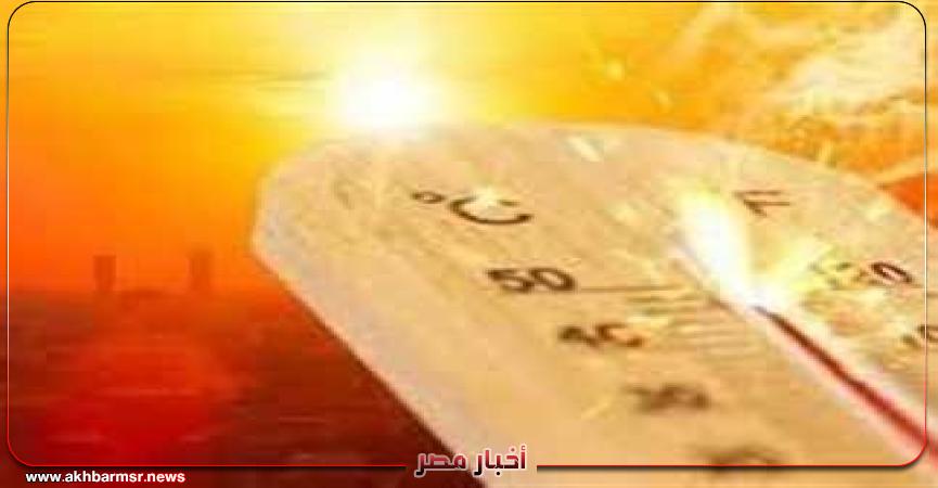 أخبار مصر 2050