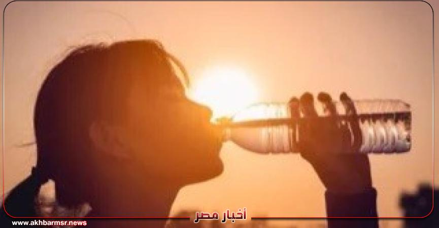 أخبار مصر 2050