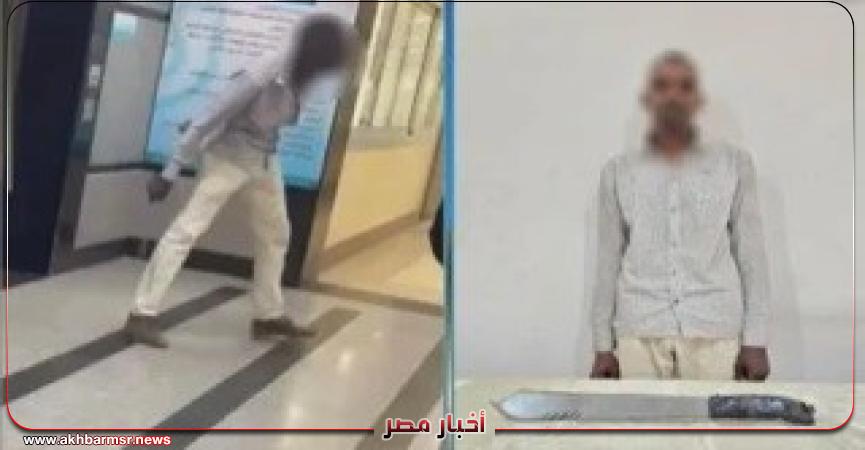 أخبار مصر 2050